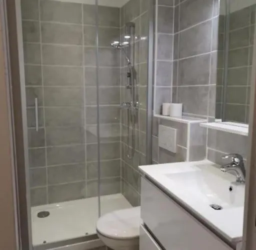 T1 Centre Carmes Metz * Toulouse